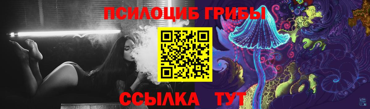 Галлюциногенные грибы Psilocybine cubensis  Вход с VPN  Новошахтинск 